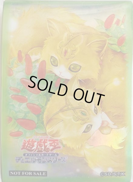 画像1: 【未開封品】森の聖獣キティテール/スリーブ (1)