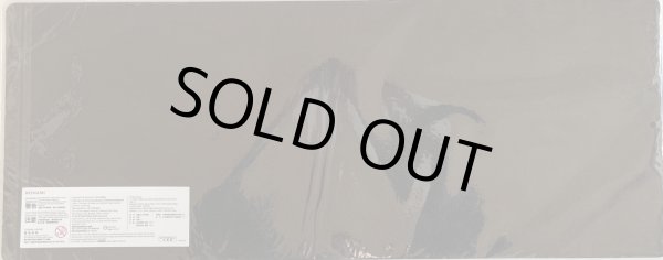 画像2: 【未開封品】燦幻昇龍バイデント・ドラギオン/ハーフプレイマット (2)