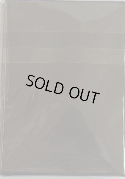 画像2: 【未開封品】ベアルクティ-ポーラ=スター/スリーブ (2)