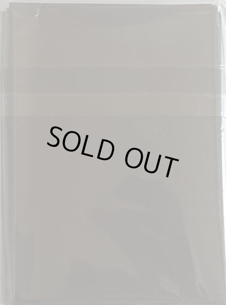 画像2: 【未開封品】Evil★Twin'sトラブル・サニー/スリーブ (2)