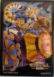 画像1: 【未開封品】十二獣タイグリス/スリーブ (1)