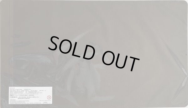 画像2: 【未開封品】GP-スター・リオン/プレイマット (2)