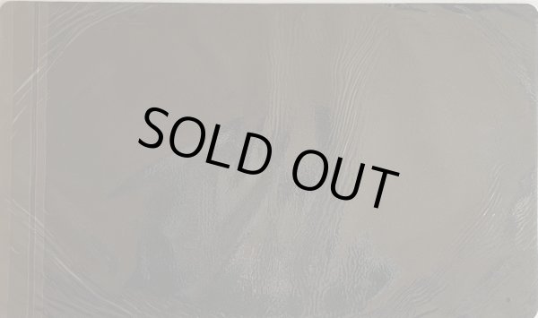 画像2: 【未開封品】D-HEROデストロイフェニックスガイ/プレイマット (2)