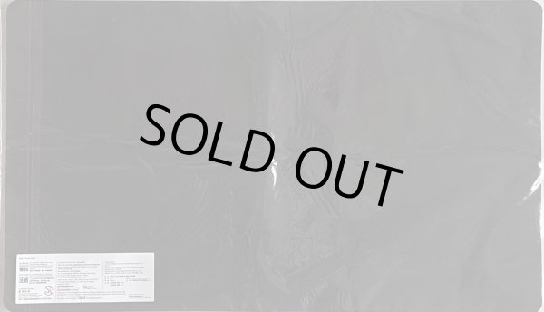 画像2: 【未開封品】殺戮聖徒レジーナ/プレイマット (2)