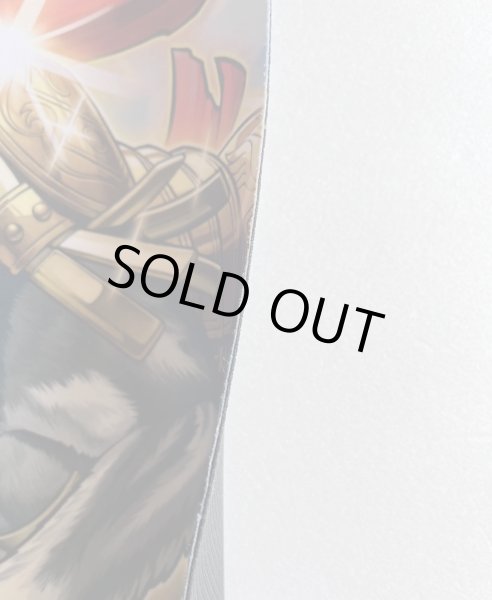 画像5: 【開封品】牙狼の双王ロムルス-レムス (5)