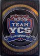 画像1: 【未開封品】TEAM YCS2024/スリーブ (1)