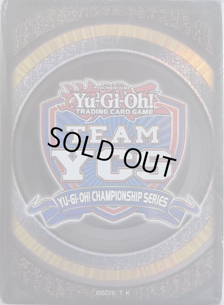 画像1: 【未開封品】TEAM YCS2024/スリーブ (1)