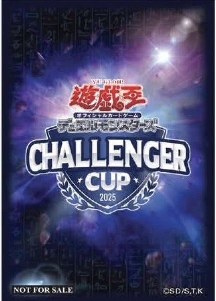 画像1: CHALLENGER CUP2025/スリーブ (1)