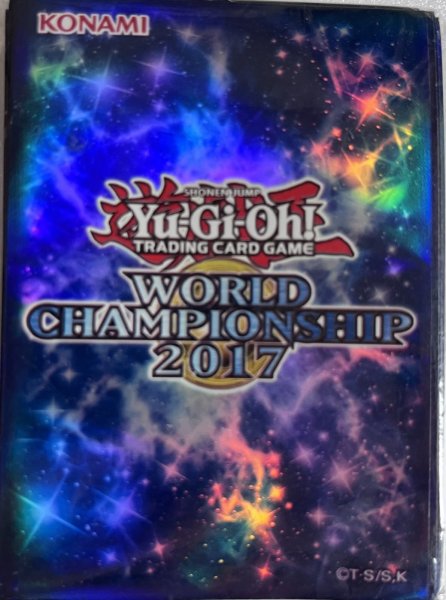 画像1: 【未開封品】WCS2017/スリーブ (1)