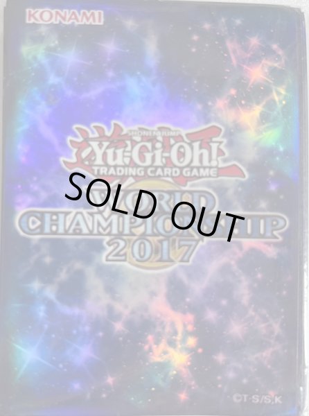 画像1: 【月末ゲリラ特価】WCS2017/スリーブ (1)