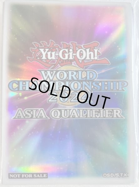 画像1: 【8/29特価！】WCQ2024/スリーブ (1)