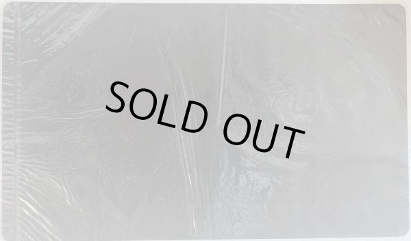 画像2: 【未開封品】十二獣タイグリス＆十二獣ラヴィーナ/プレイマット (2)