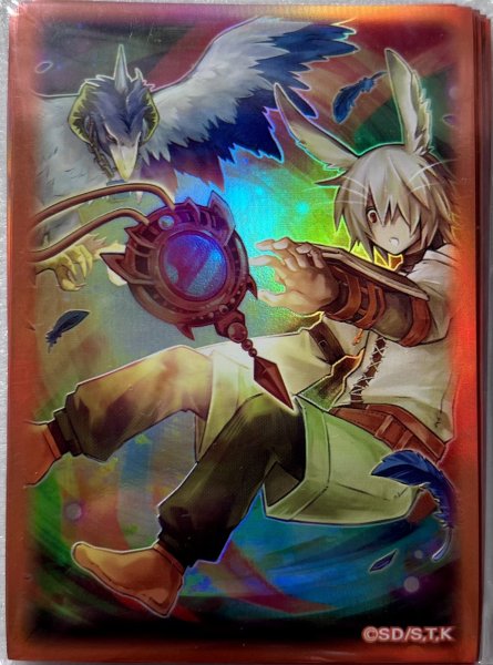 画像1: 【未開封品】ドロール&ロックバード/スリーブ 20枚入り (1)