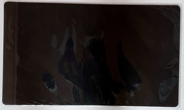 画像2: 【未開封品】Recette de Viande〜肉料理のレシピ〜 & Recette de Poisson〜魚料理のレシピ〜/プレイマット (2)