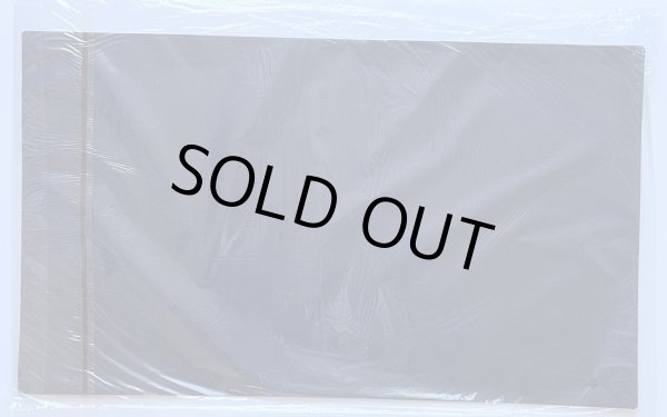 画像2: 【月末特価】ASIA CHAMPIONSHIP2013PLUS 希望皇ホープレイ・ヴィクトリー/プレイマット (2)