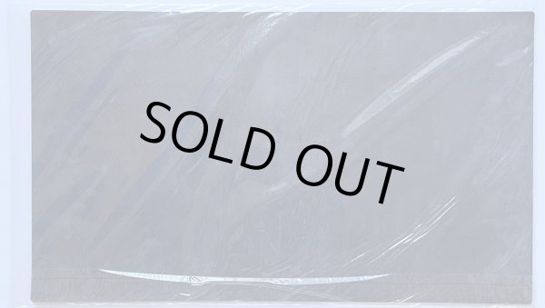 画像2: 【未開封品】ASIA CHAMPIONSHIP2014 希望皇ホープ/プレイマット (2)