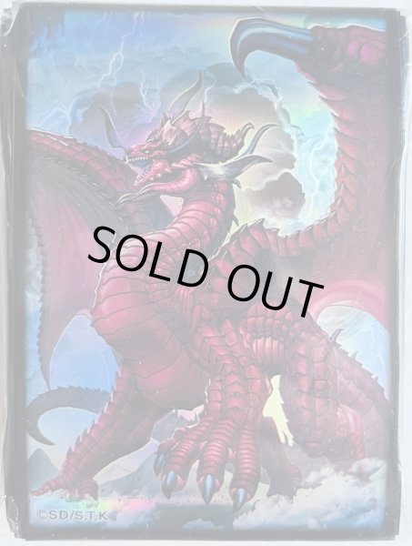 画像1: 【未開封品】超征竜-ディザスター/スリーブ (1)