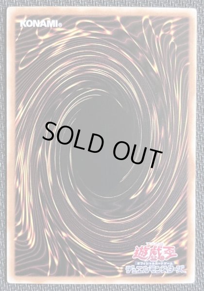 画像2: デコード・トーカー・インテグレーション OFプリズマ アジア版 (2)