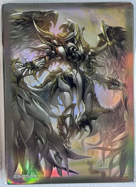 画像1: 【未開封品】黒智天至イリスフィール/スリーブ (1)