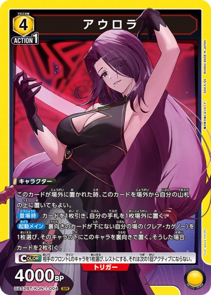 画像1: アウロラ SR (1)