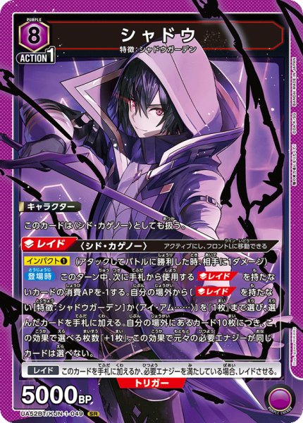 画像1: シャドウ SR (1)