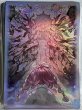 画像1: 【未開封品】凶導の聖獣/スリーブ (1)