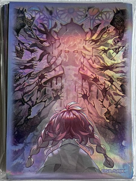 画像1: 【未開封品】凶導の聖獣/スリーブ (1)