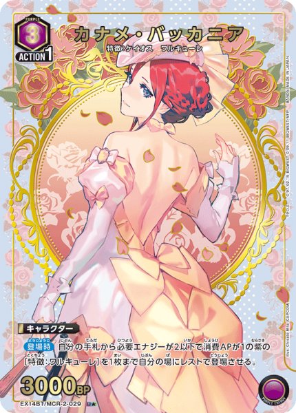 画像1: カナメ・バッカニア U★ (1)
