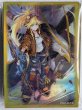 画像1: 【未開封品】サージ・ブリッツクリーク/スリーブ (1)
