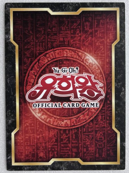 画像2: VS ホーリー・スー/フィールドセンターカード (2)